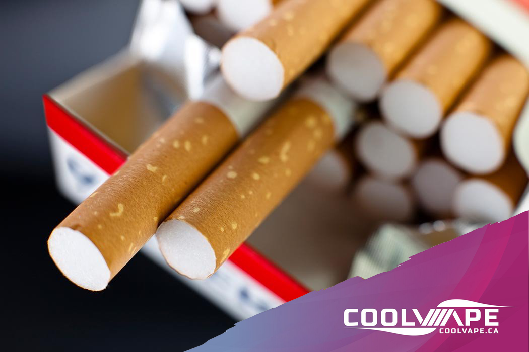 british american tobacco middle east British American Tobacco british american tobacco middle east British American Tobacco